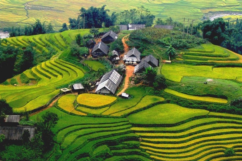 sapa 8