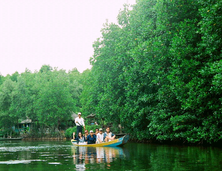 tour cần giờ