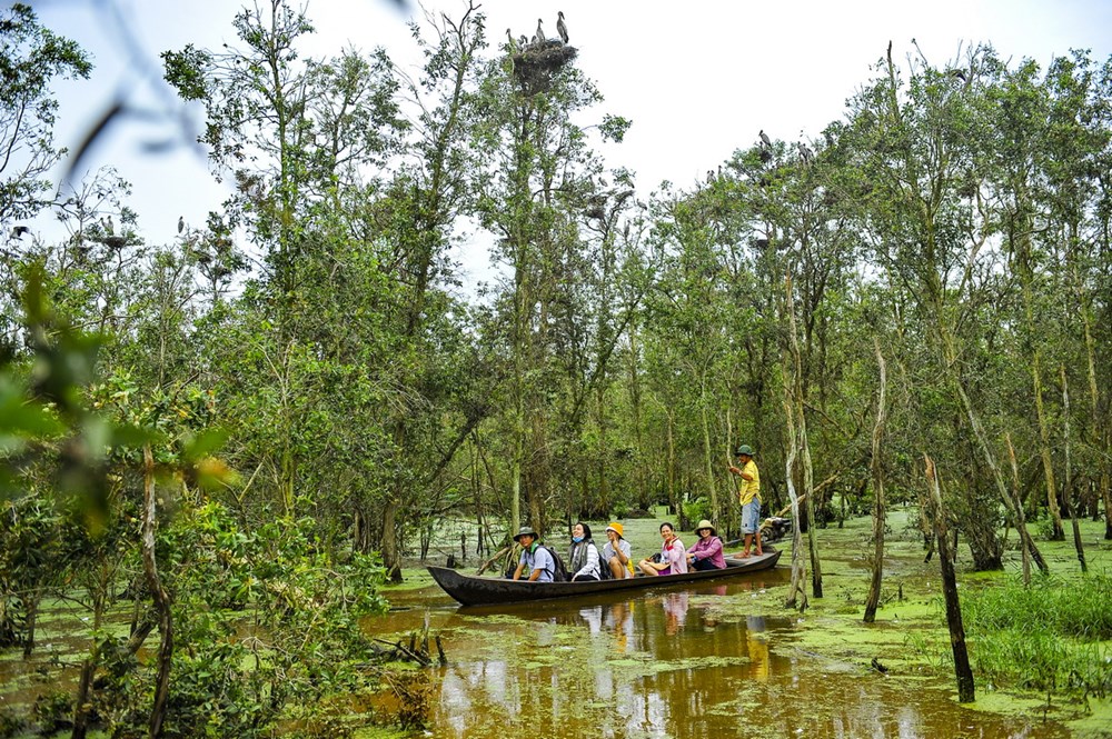 tràm chim đồng tháp