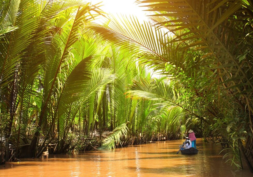 mekong delta