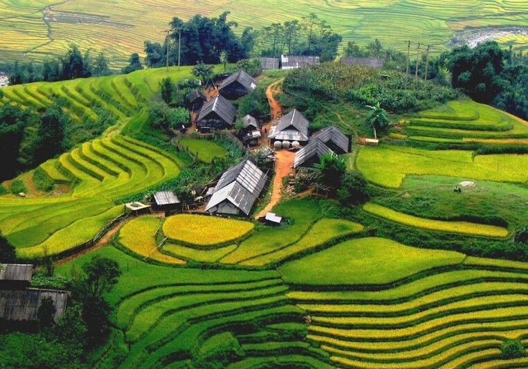 sapa 8